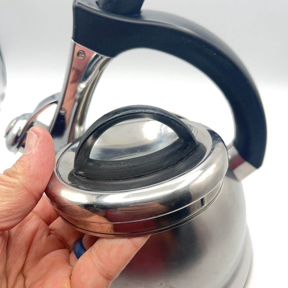 Pykal Stainless Whistling Tea Kettle Designed In Germany
