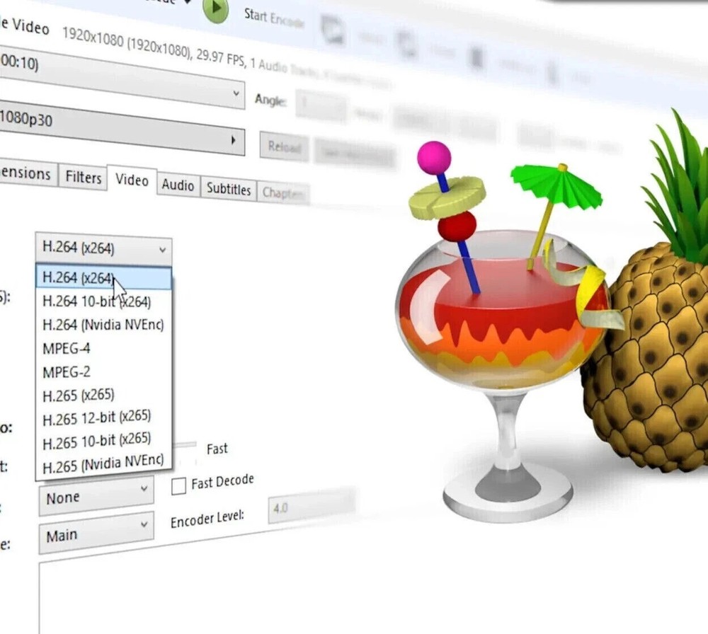 Pro 2026 Video Converter Software - Transcode Compress & Rip For Windows on USB