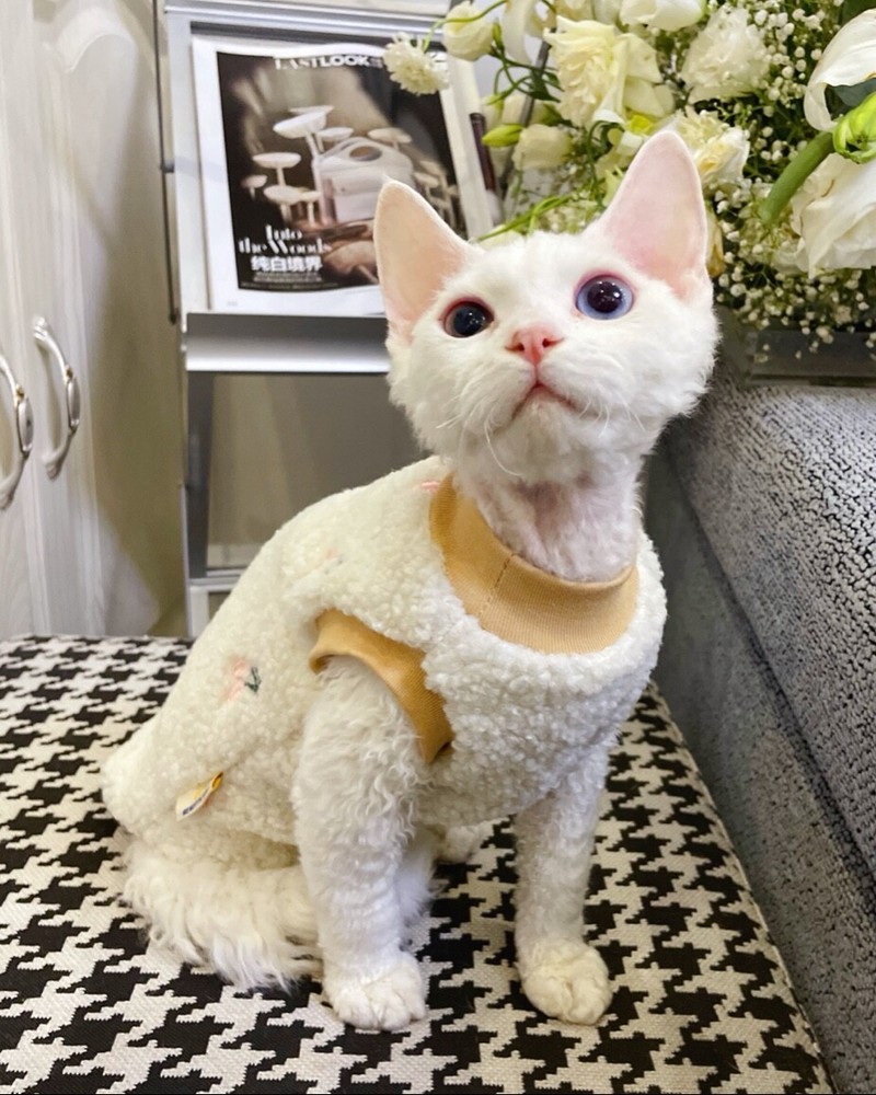 Sphynx/Devon Rex Hairless Cat Winter Tulip sweater Size M 