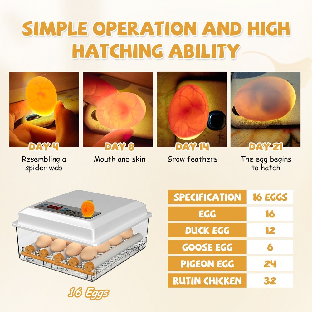 16/36 Eggs Digital Incubator Hatcher Temperature Control Automatic Turning 110V