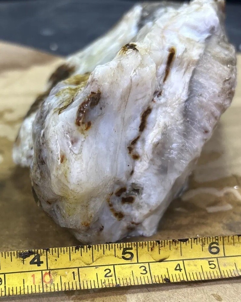 Silver Creek Junction optimized petrified wood