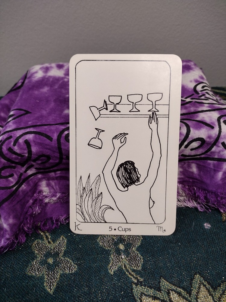 New Amazon Tarot 1984 LGBTQ+ Deck