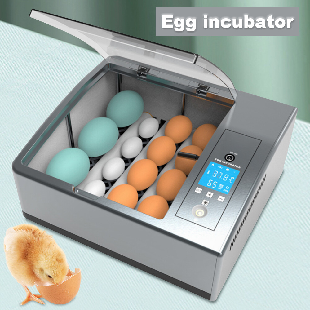 ✅16 Eggs Egg Incubator for Hatching Egg Full Automatic Turning Duck Chicken Egg