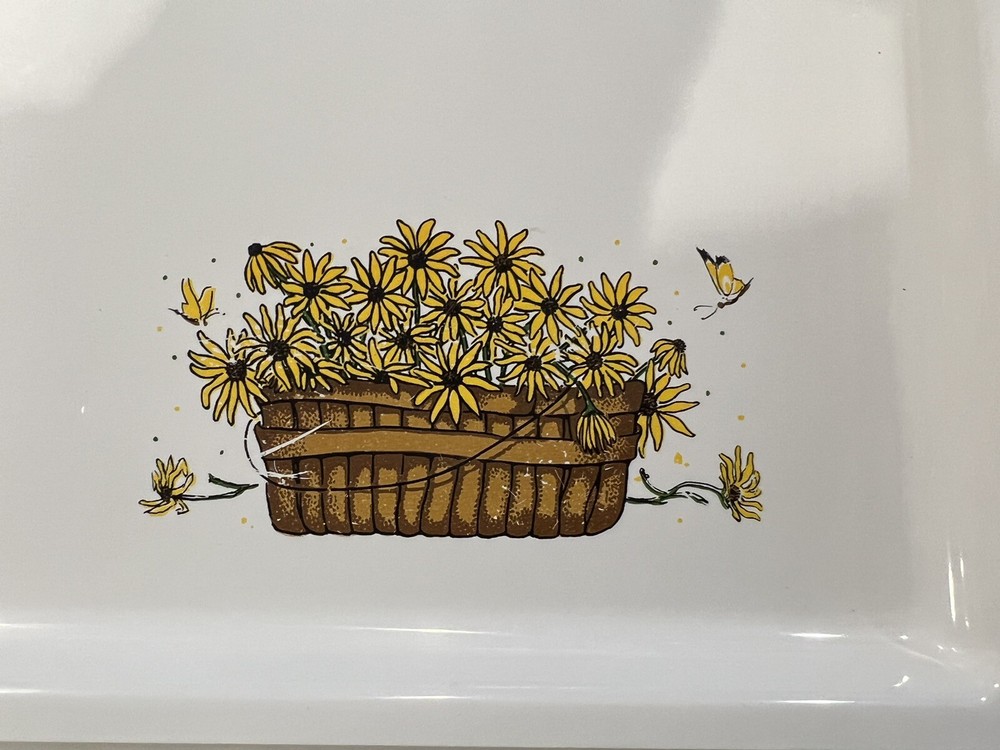 RARE Sterilite Trays-8