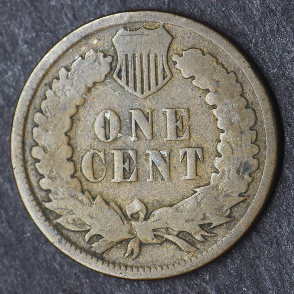 1881 Indian Head Cent 1C- COINGIANTS -