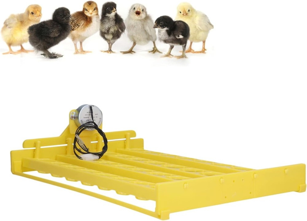 Plastic Egg Incubator Tray, Sufficient Power Safe Hatching Fully Automatic Eg...