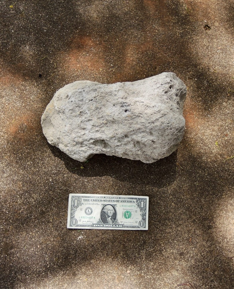 XL Pumice Stone Volcanic Rock