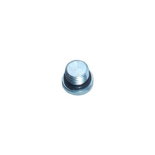 Western SnowEx Part # 92960 - Hex Socket Plug w/O-Ring