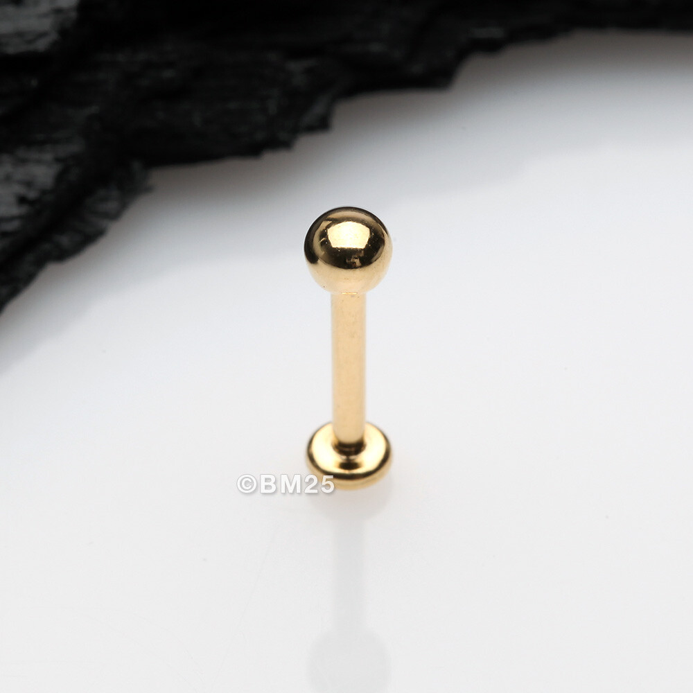 Golden Basic Ball Top Threadless Push-In Steel Labret