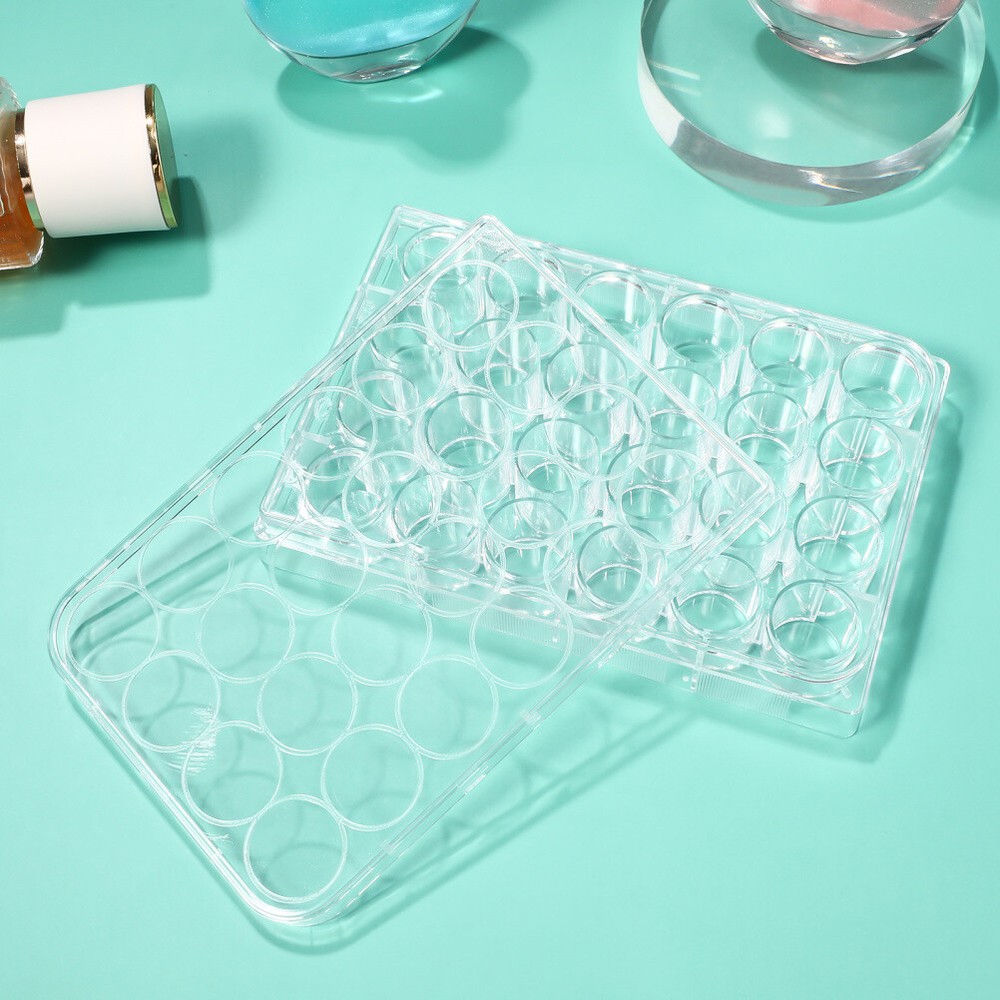 Plastic Plate 24 Well Cell Culture Plate Lab Tool