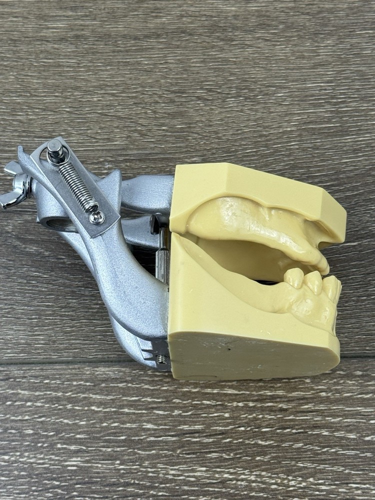 Kilgore Nissin TRM-480 Typodont Edentulous Partial Denture Model Practice