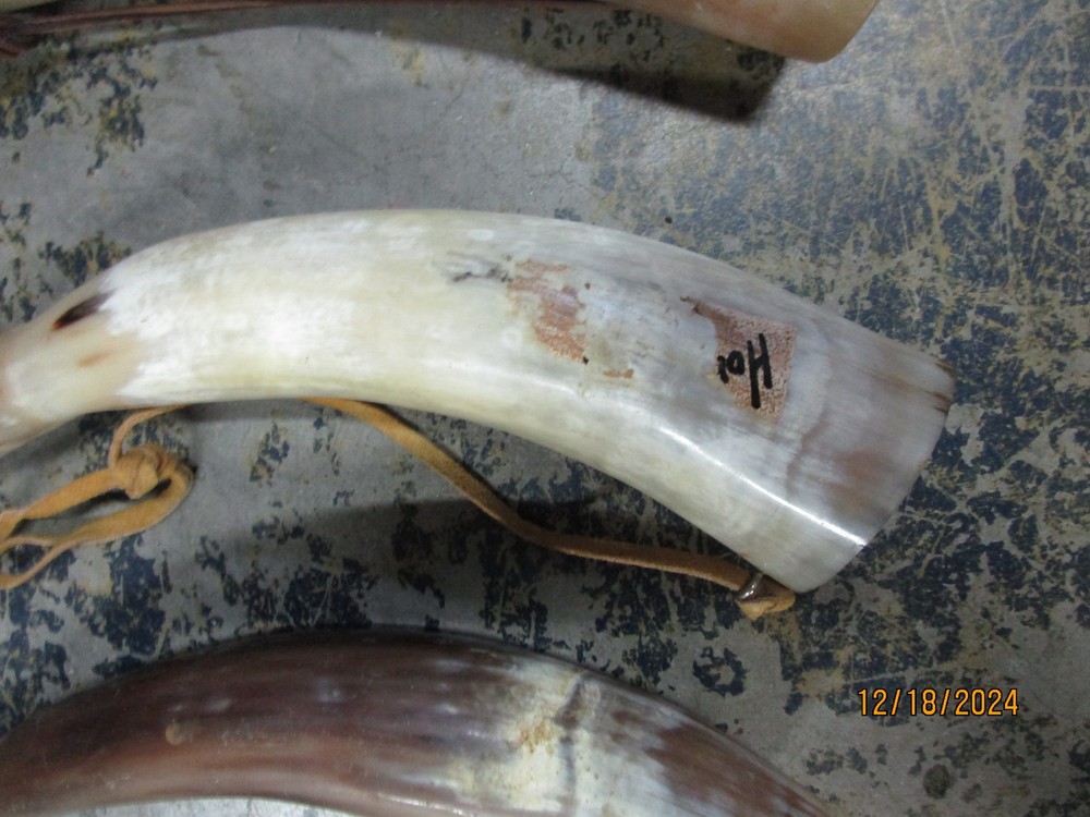 (3) 12" Black Powder Horns