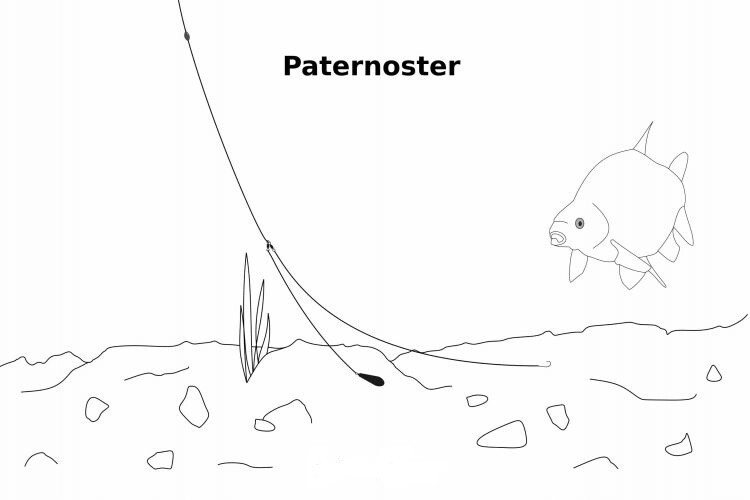 Paternoster Rig Whiting, Flathead, Trout etc