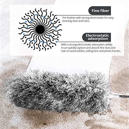 Webster Cobweb Duster, Feather Duster for Home, Extendable Dusters for