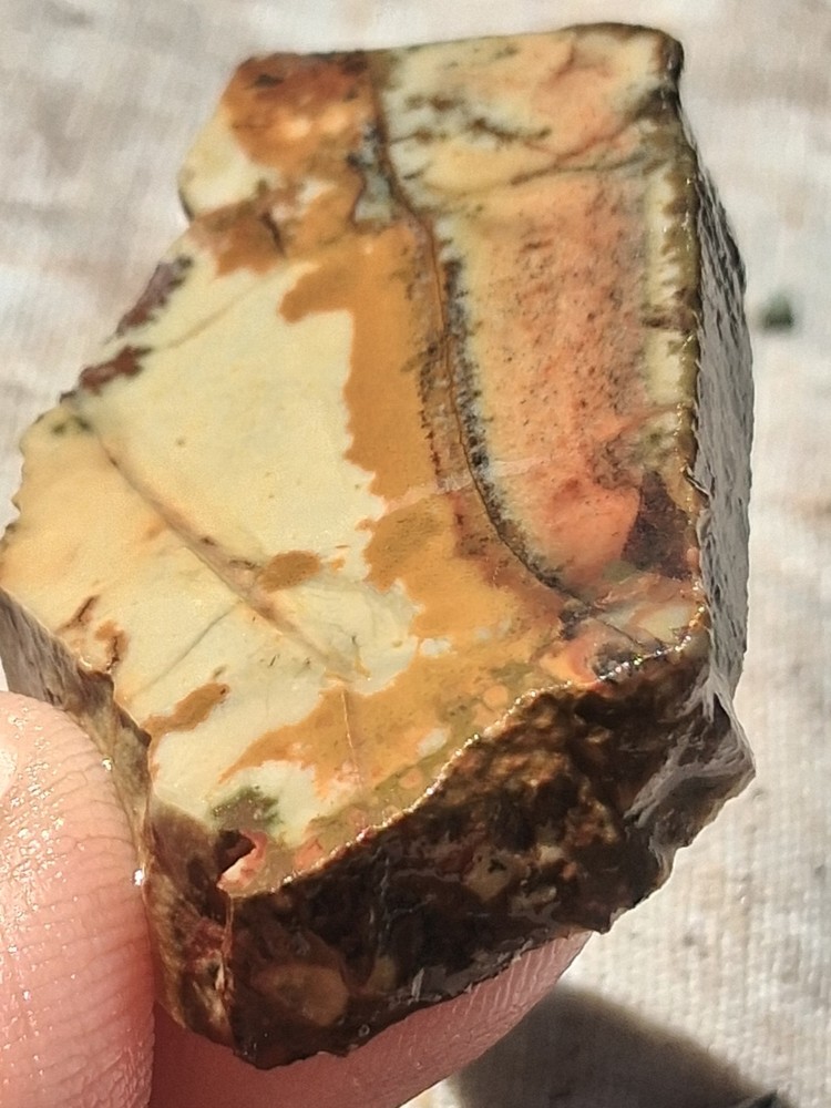 Death Valley Indian Paint Cab Ready For Lapidary