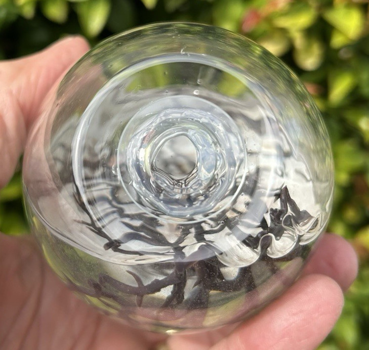 5" GLASS EGG-SHAPED CLOSED SYSTEM ECOSYSTEM shrimp ECOSPHERE self-sustaining