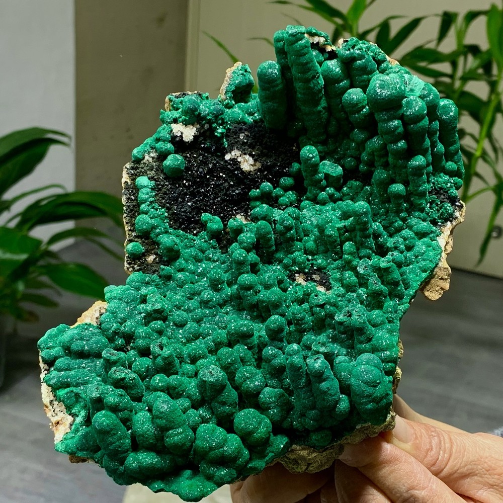 2.34LB Natural Malachite rysocolla transparent cluster rough mineral Sample
