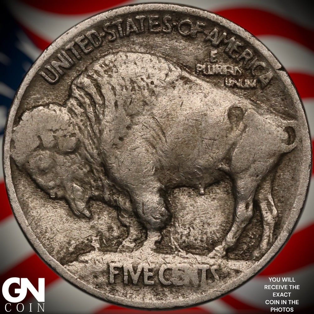 1913 P TYPE 1 Buffalo Nickel A1413