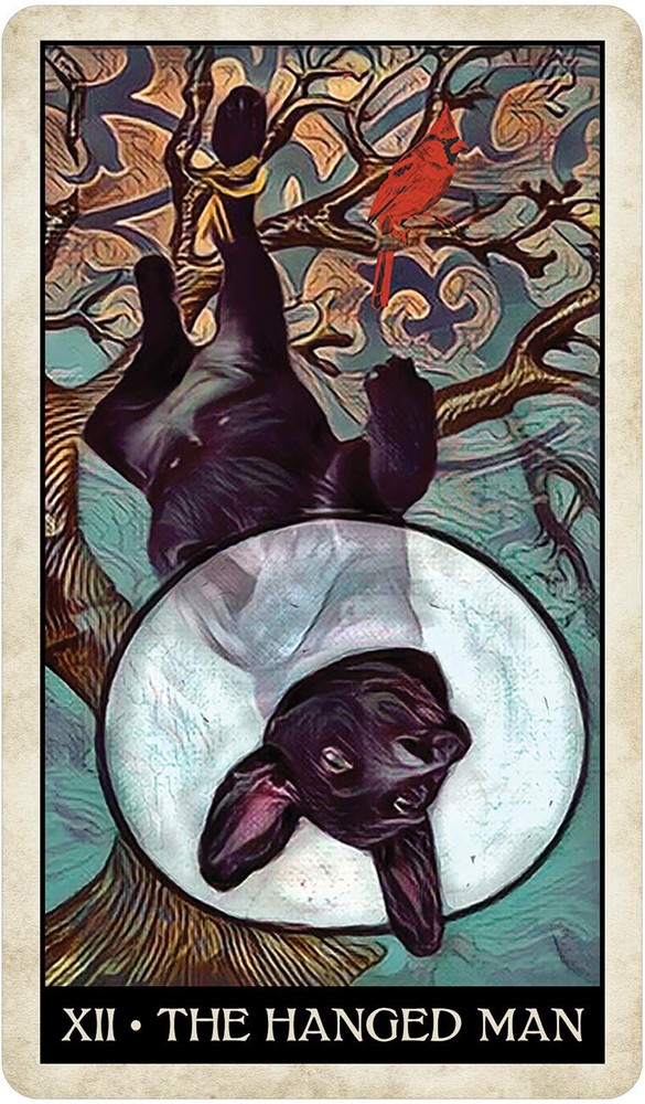 Wise Dog Tarot Card Deck!