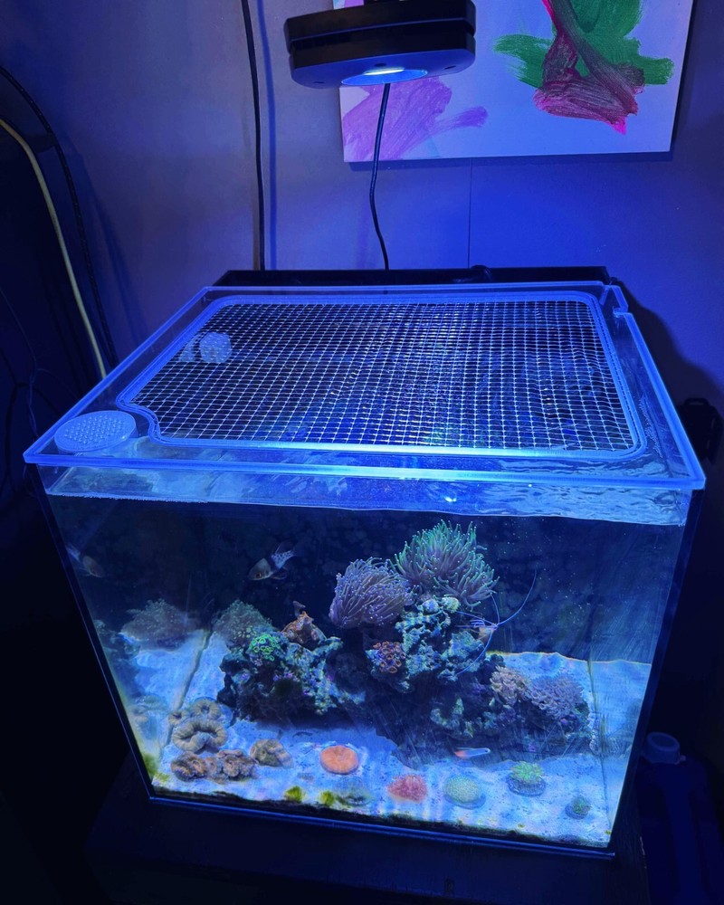 Custom Solid Polycarbonate Clear Aquarium Lid