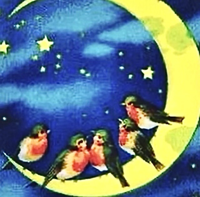 2 May Department String Lights Party Lantern Lights