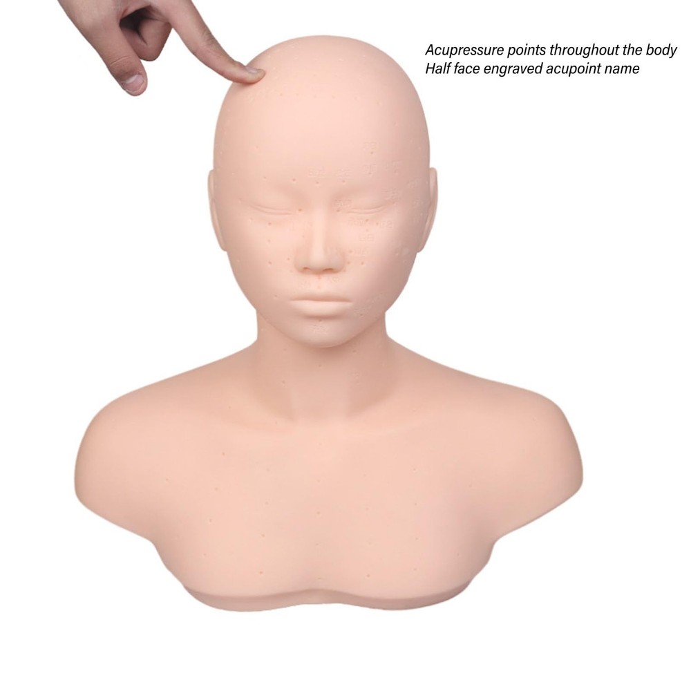 Head with Shoulders, Acupuncture Points, Soft PVC, Wig Stand