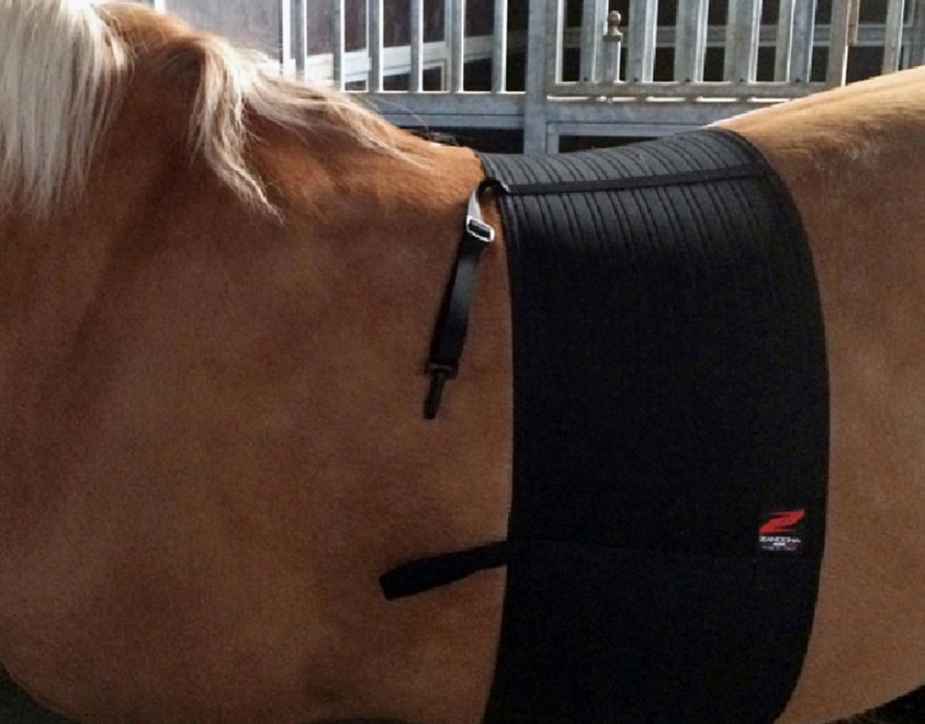 ZANDONA BASIC CHAFE GUARD RESPECT BAND
