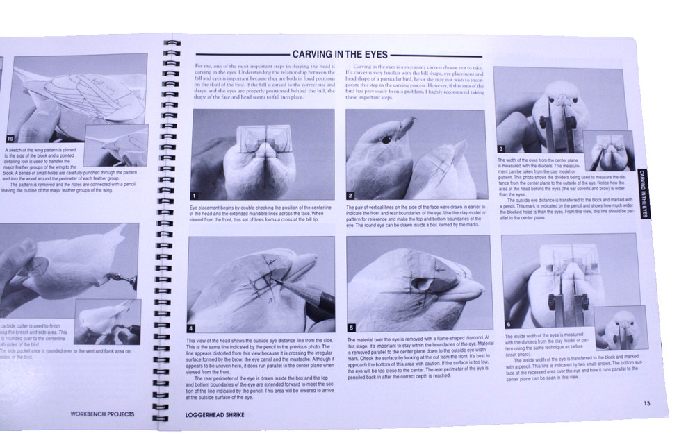 Wildfowl Carving Magazine Workbench Project Instructions Loggerhead Shrike