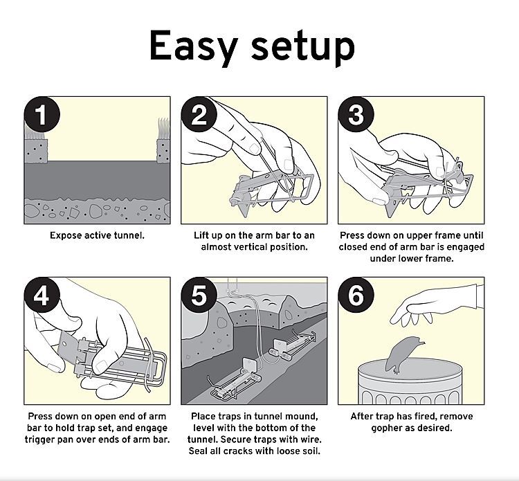 Victor Easy Set Gopher Trap - Model 0611 - 2 Traps Per Package - ADC Nuisance