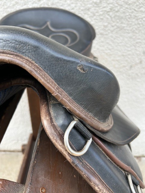 Freeform Italia Endurance Treeless Saddle