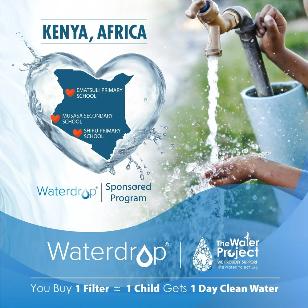 Waterdrop Replacement for GE® MWF®, SmartWater® MWFP Fridge Water FilterS(1-6)