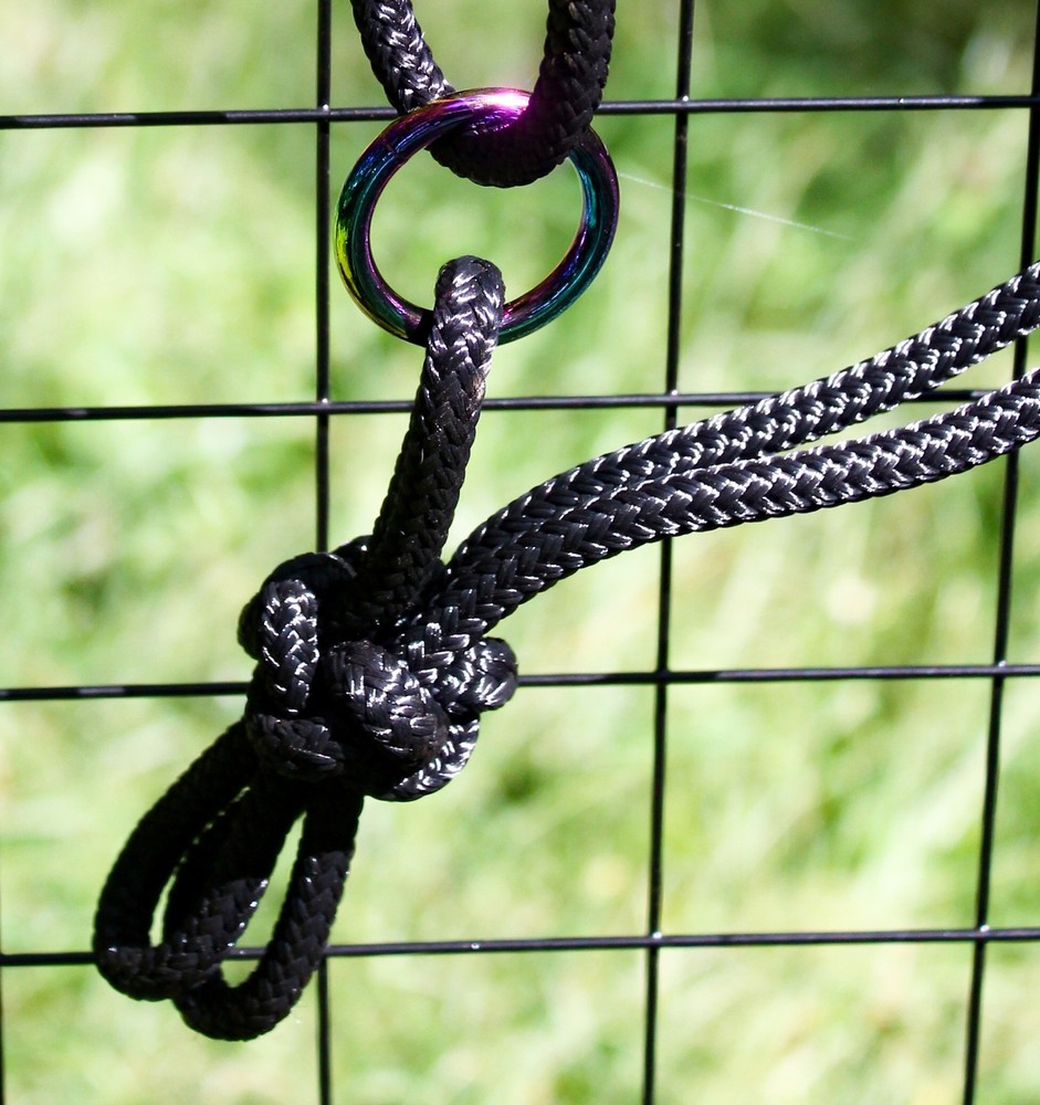 Sliding Ring Rope Halter W/ Rainbow Plated Ring
