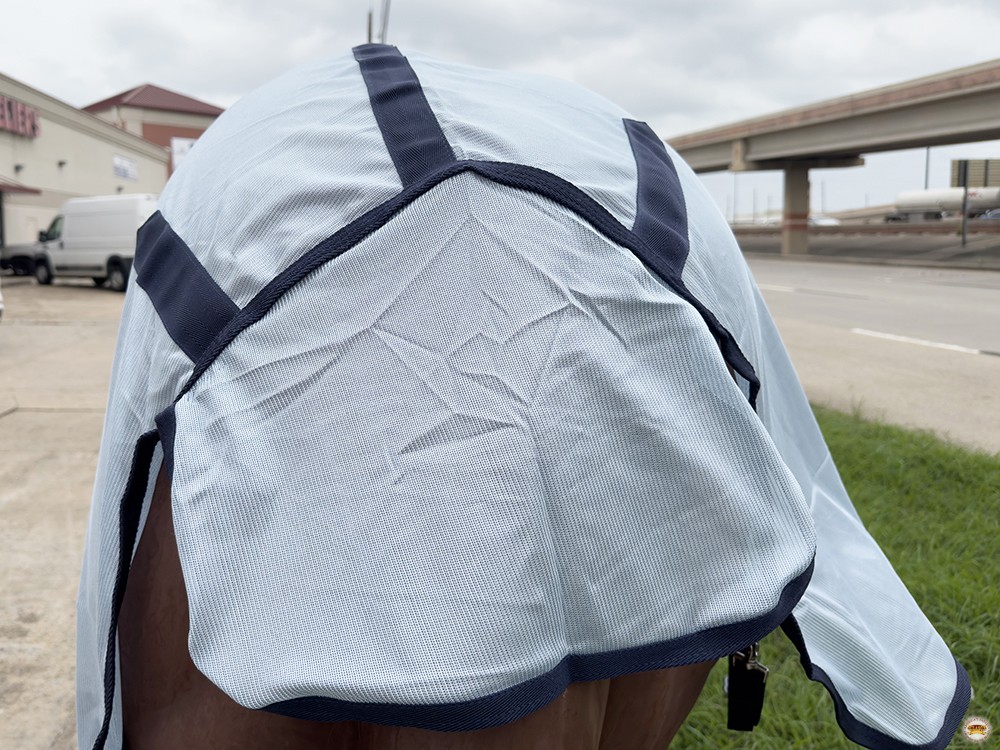 HILASON Horse Fly Sheet - Summer Spring UV Protection Mesh Bug Mosquito