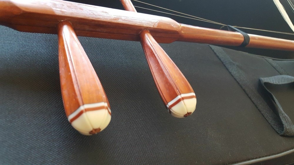 Pro Burma Rose Wood Erhu