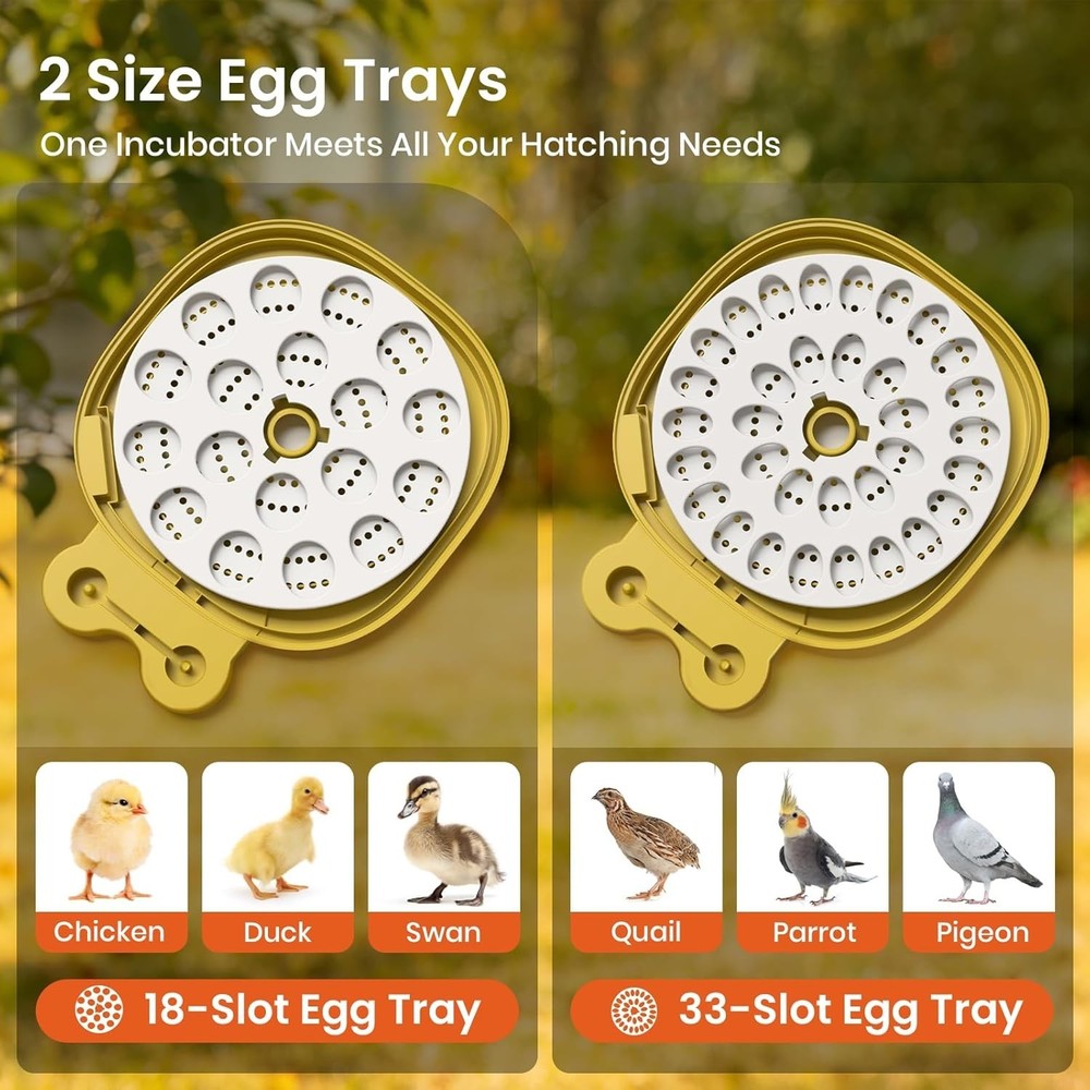 Egg Incubators for Hatching Eggs with Automatic Egg Turning & Humidity Control