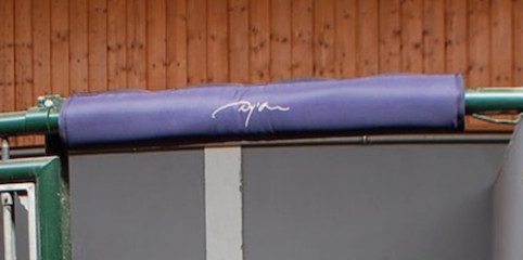 Dion Head Protector