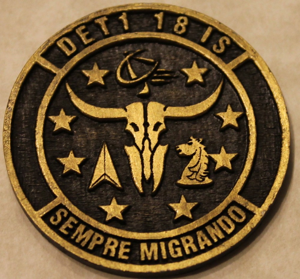 18th Intelligence Squadron Detachment 1 Holloman Air Force Challenge Coin / NSA