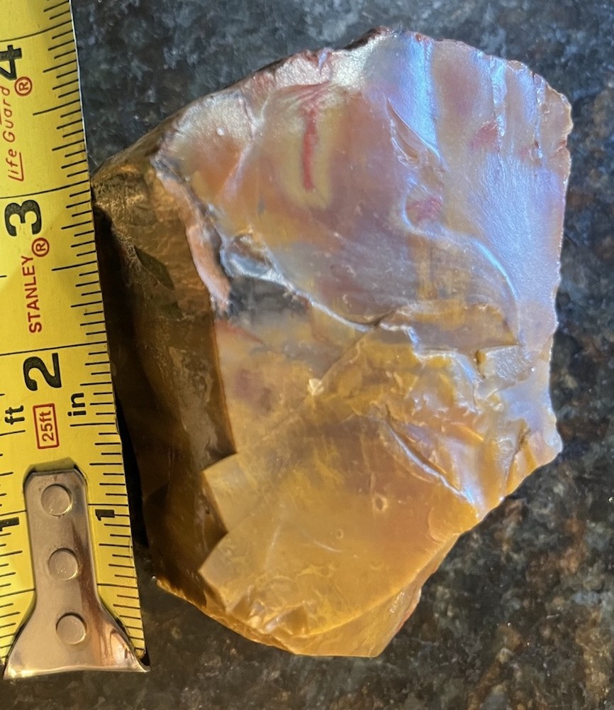 petrified wood rough