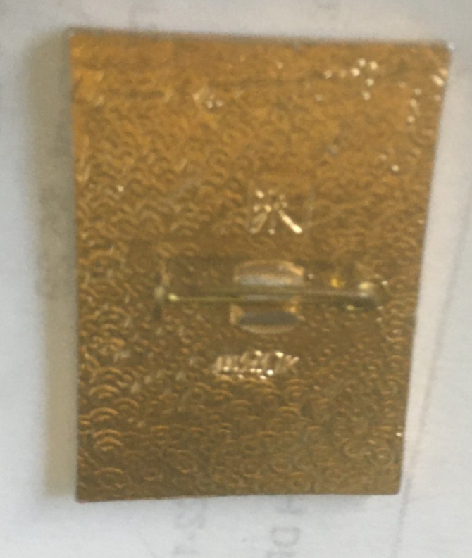 Soviet Russian USSR poet Pushkin badge pin