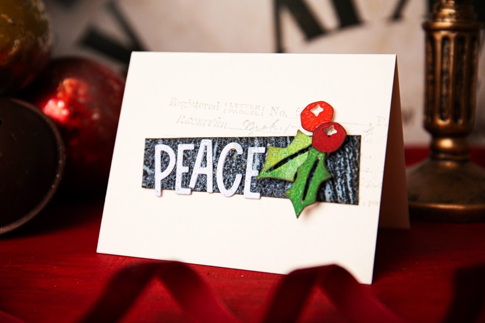 Sizzix Thinlits Festive Gatherings #666333 6pk set Retail $29.99 Tim Holtz NEW!