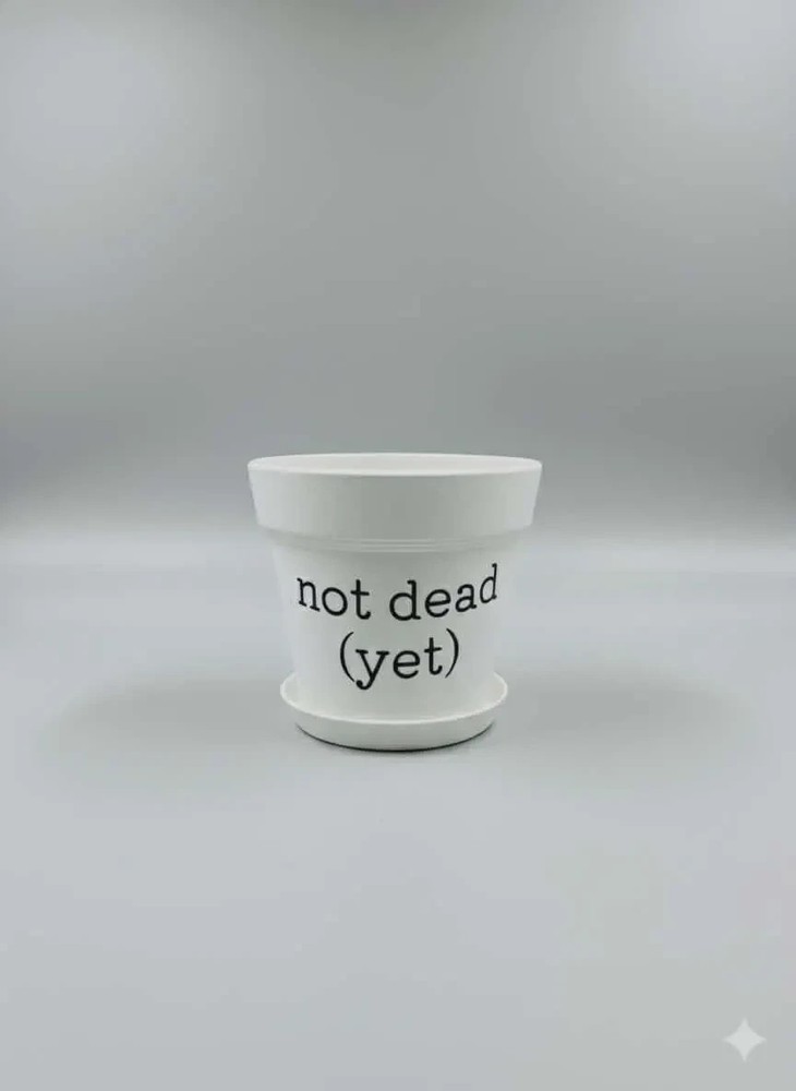 Not Dead (Yet) White Ceramic Planter with Drainage Hole