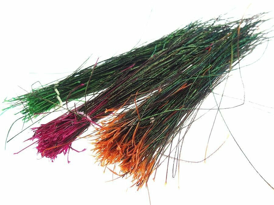 TRADE Peacock Herl  5 PACK Gordon Griffiths