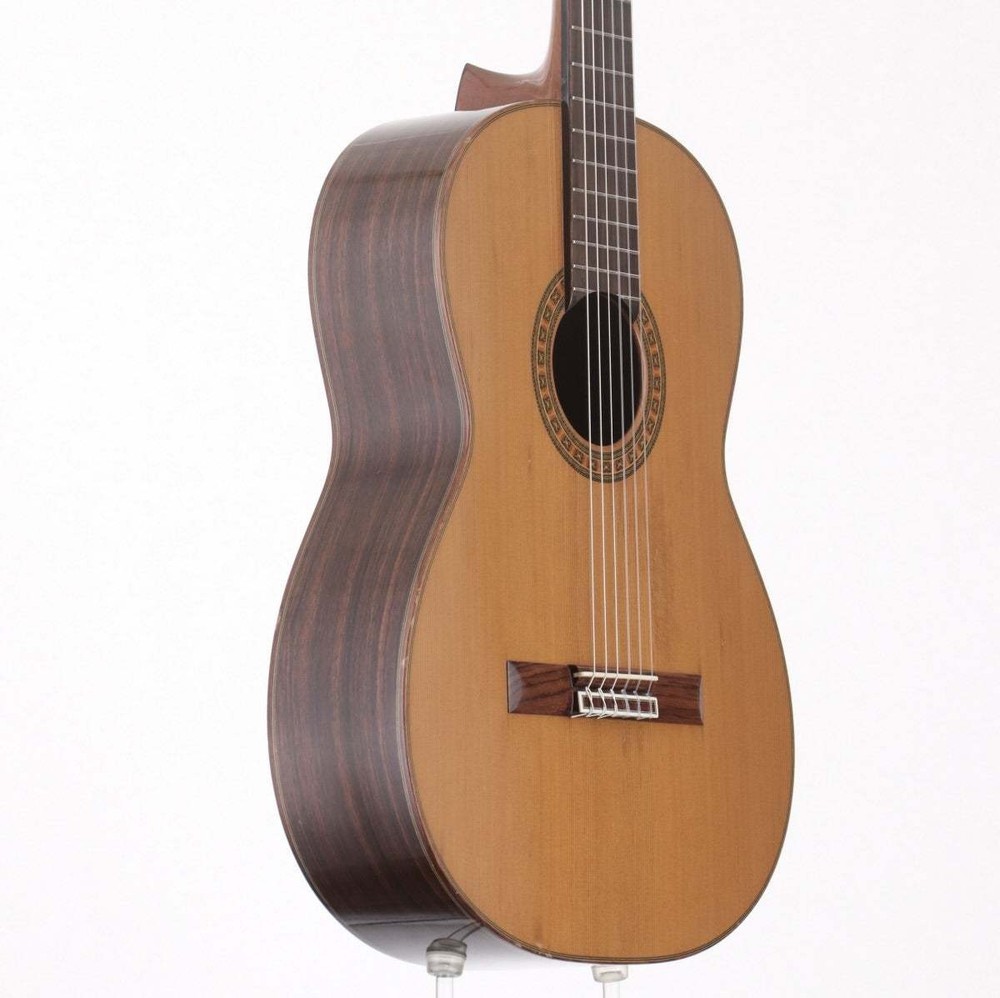 Asturias Classical Guitar with Hard Case