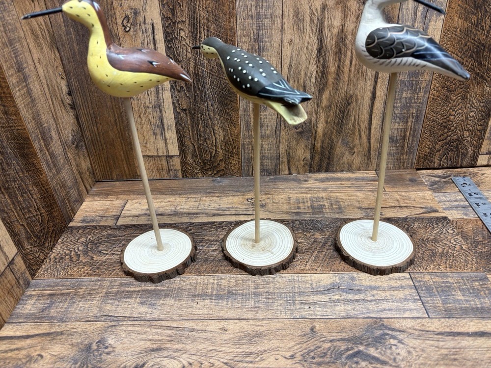 3-Circle Shorebird Stands.  Bark Edges Group 33#