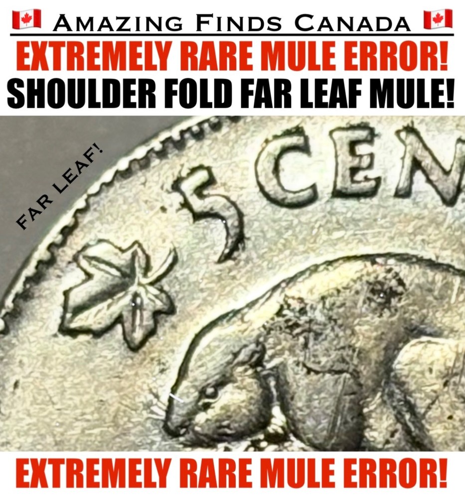 *MULE ERROR* 1953 Canada 5 Cent! *RARE SHOULDER FOLD FAR LEAF MULE ERROR! SF FL!