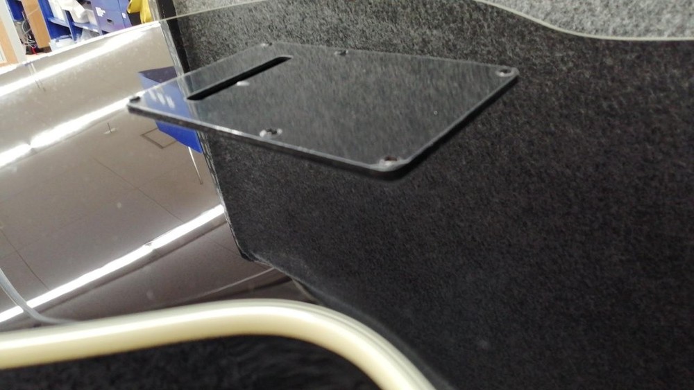 BRIANMAY GUITARS BM-3TS