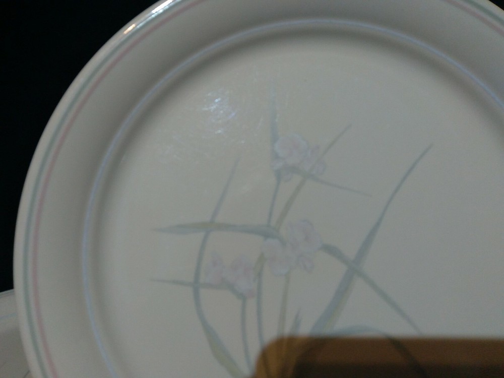 4 Corelle by Corning "Spring Pond" U.S.A. Dinner Plate 10.25"D