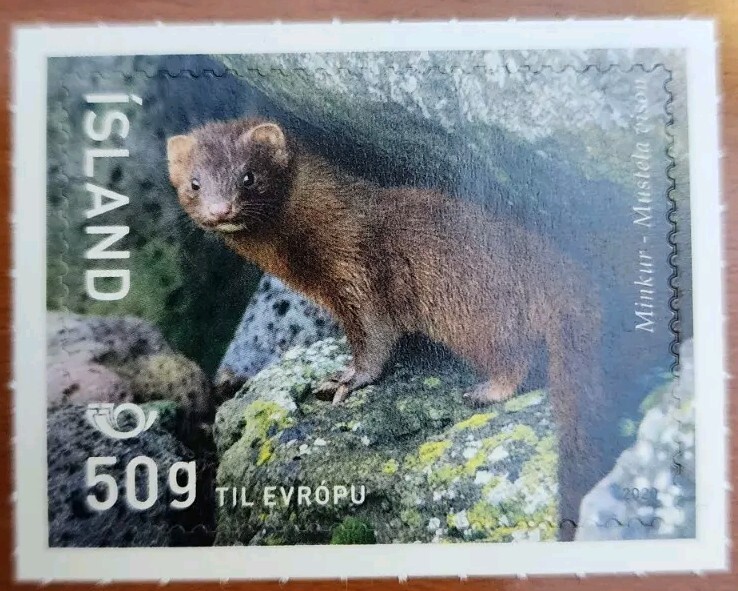 Iceland stamp 2020. Mammals. Mink. MNH