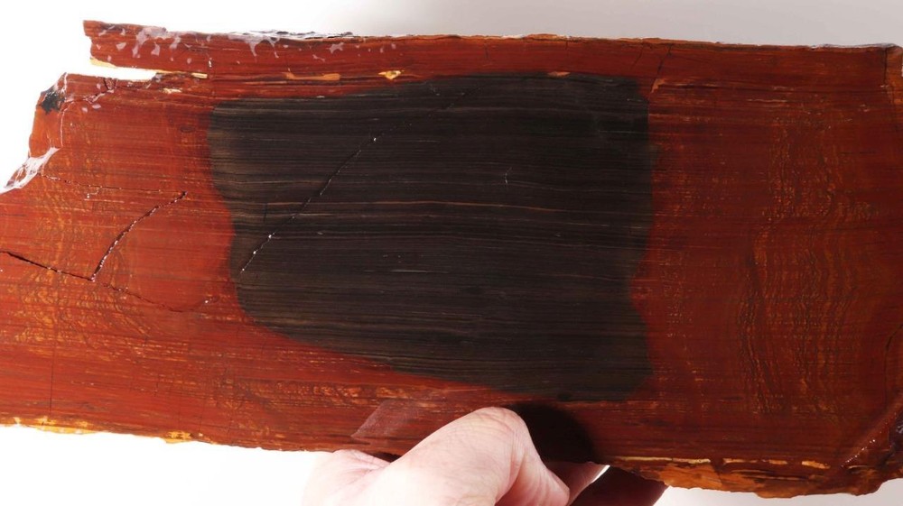 Biggs Scenic type Jasper lapidary 5 lb 10 oz  end cut rough