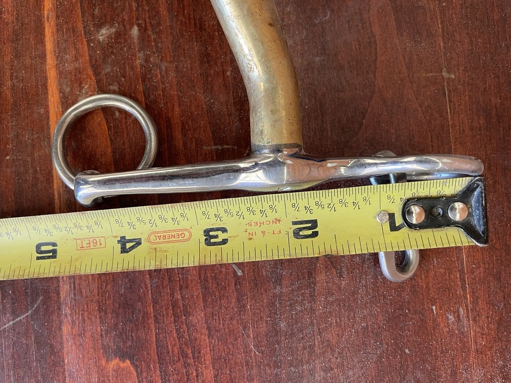 Neue Schule Turtle Tilt Weymouth.